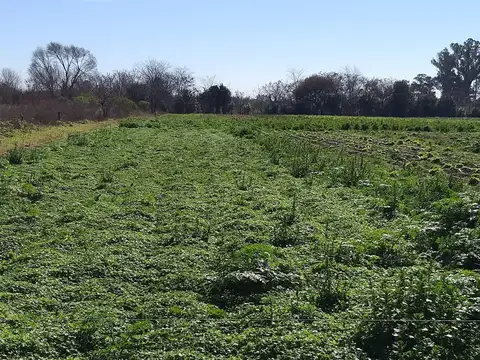 Terreno en Venta en Rosario, Santa Fe