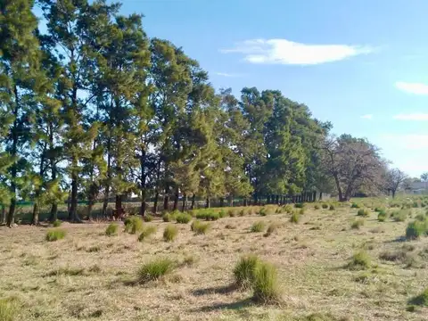 Terreno en Venta en Pueblo Esther, Rosario