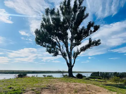 Terreno en Venta en Pueblo Esther, Rosario