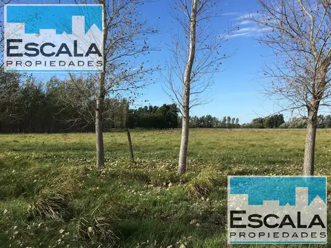 Terreno en Venta en Fisherton, Rosario