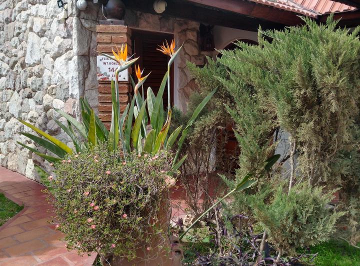 Casa · 175m² · 3 Dormitorios · 1 Cochera