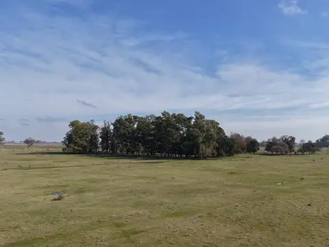 Campo en Venta en Mercedes, Partido de Mercedes
