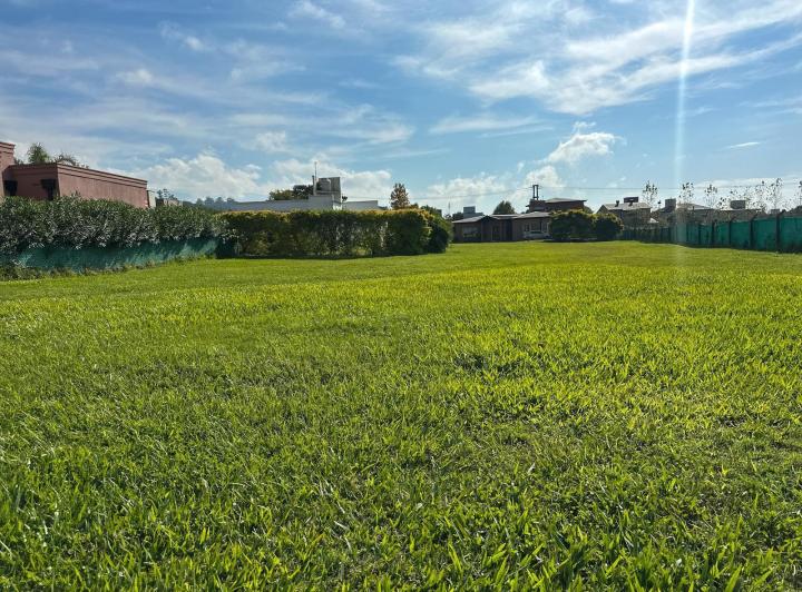 Terreno · 962m²