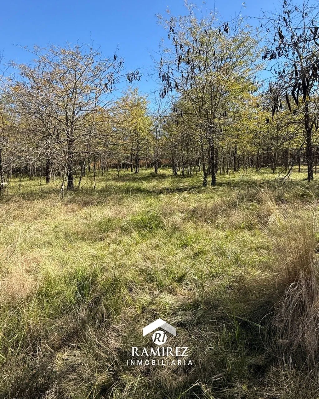 LOTE EN VENTA - SAN IGNACIO/CALAMUCHITA (LT98)