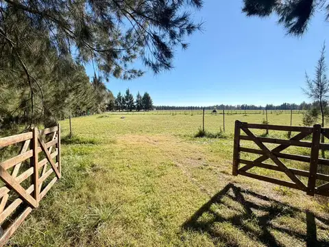 Terreno en Venta en Estancia Las Malvinas, Countries y Barrios Cerrados en Coronel Brandsen