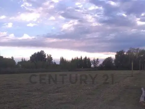 Terreno en Venta en Villa San Carlos, San Carlos