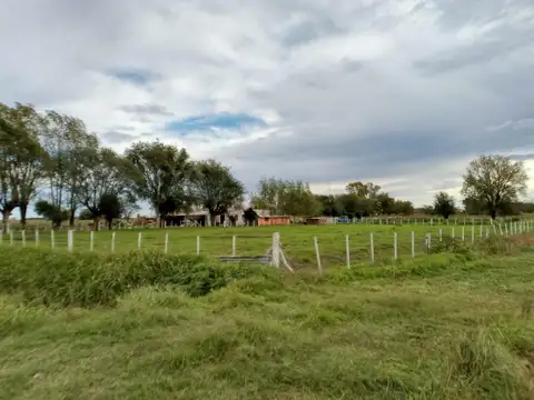 Campo en Venta en Máximo Paz, Constitución