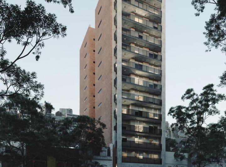 Desarrollo vertical