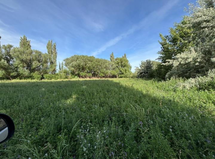 Terreno · 20186m²