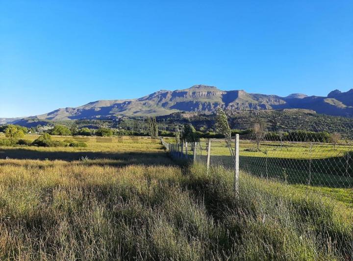 Terreno · 114848m²