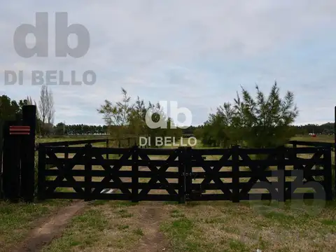 Campo en Venta en Estancia Benquerencia Farm Club, Countries y Barrios Cerrados en San Miguel del Monte