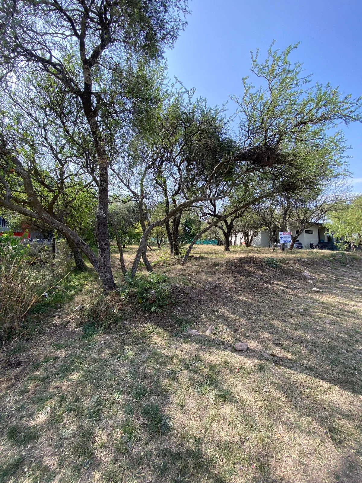LOTE EN VENTA TIERRALTA - LISTO PARA CONSTRUIR