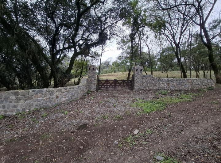 Campo · 27000m²