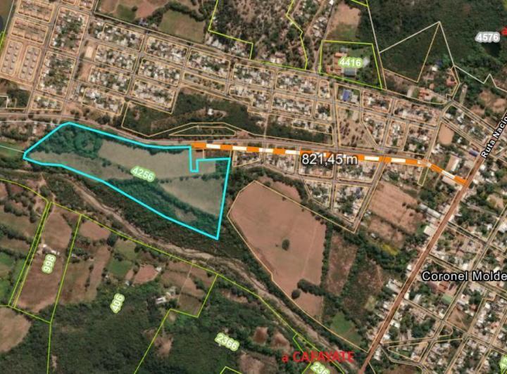 Campo · 110000ha