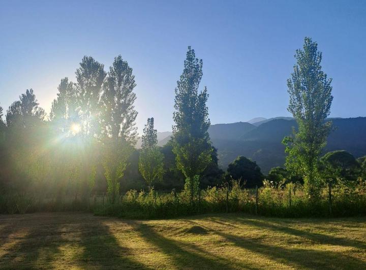 Campo · 280m² · 6 Ambientes