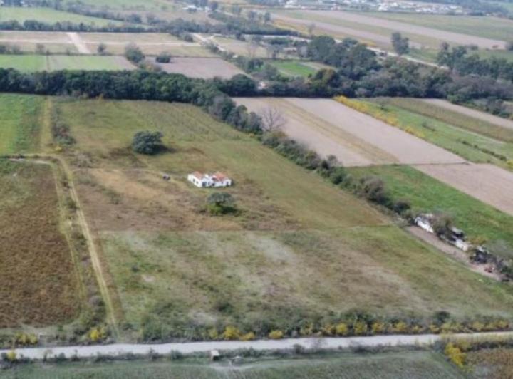 Campo · 37000m²