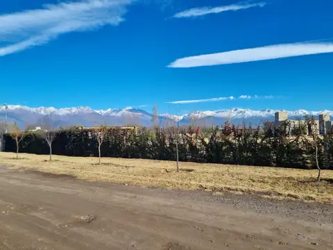 Terreno en Venta en Vista Flores, Tunuyán