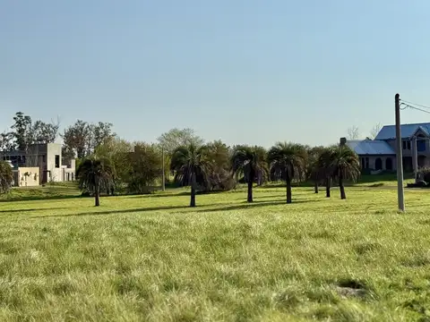 Terreno en Venta en Oliveros, Iriondo