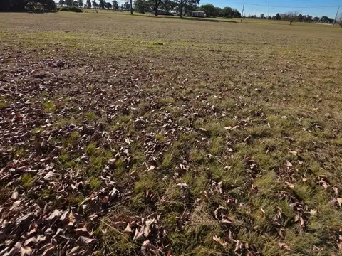 Terreno en Venta en Los Molinos, Recreo