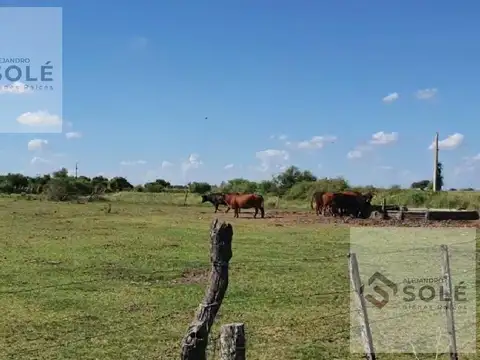 Terreno en Venta en Arrufo, San Cristóbal