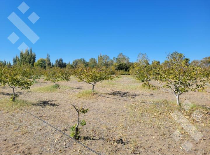 Terreno · 2440m²