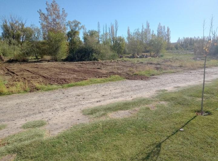 Terreno · 1000m²