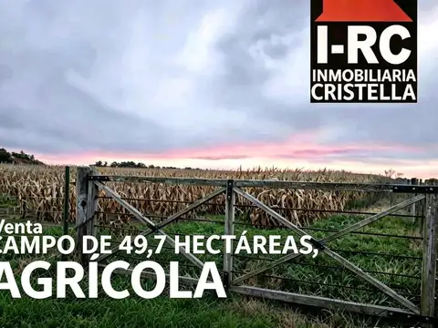 Campo en Venta en Carmen de Areco, Partido de Carmen de Areco