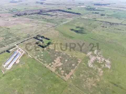Campo en Venta en Magdalena, Partido de Magdalena