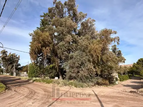 Terreno en Venta en Balneario Sauce Grande, Partido de Monte Hermoso