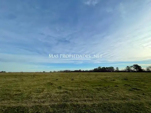 Terreno en Venta en Cañuelas, Partido de Cañuelas