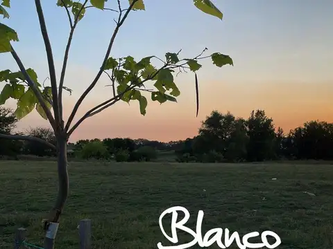 Terreno en Venta en Pilara, Countries y Barrios Cerrados en Pilar