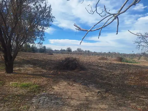 Terreno en Venta en Buen Orden, San Martín