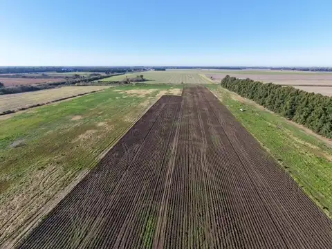 Campo en Venta en San Pedro, Partido de San Pedro