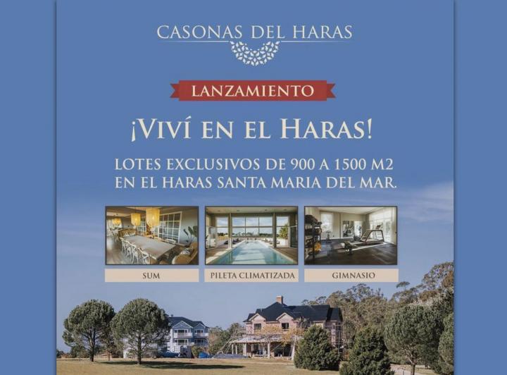 Desarrollo horizontal