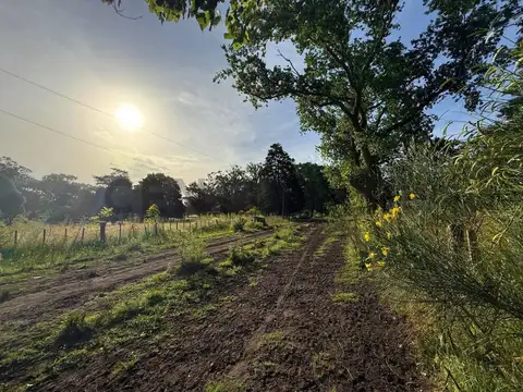 Terreno en Venta en Mar del Plata, Partido de General Pueyrredón