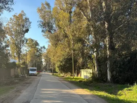 Terreno en Venta en Arturo Segui, Partido de La Plata