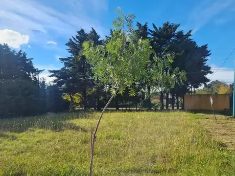 Terreno en Venta en Villa Elisa, Partido de La Plata