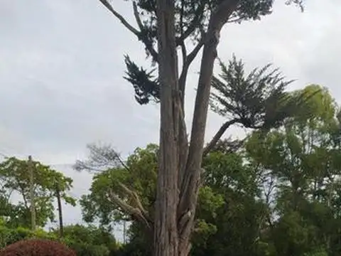 Terreno en Venta en Caisamar, Mar del Plata