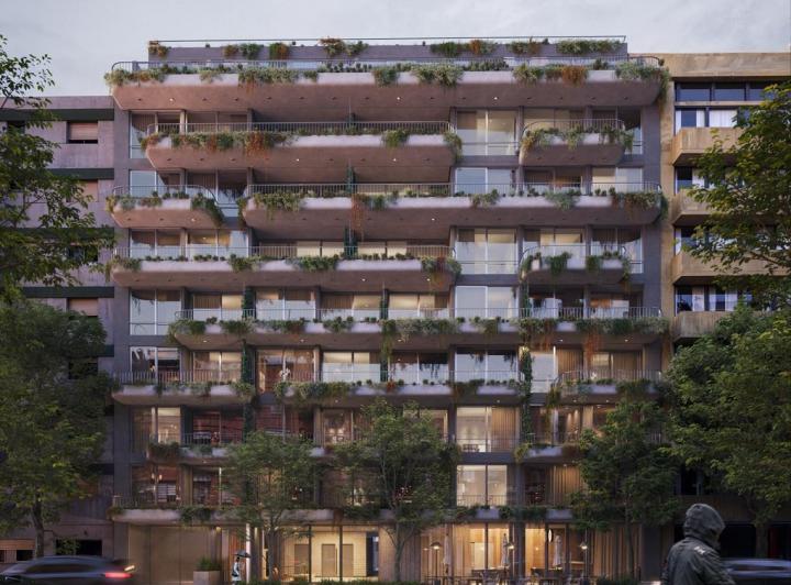 Desarrollo vertical