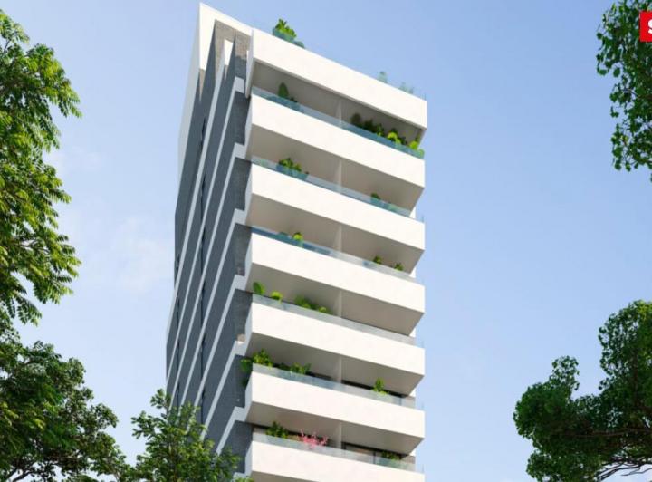 Desarrollo vertical
