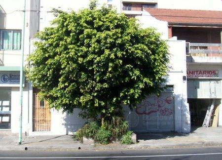 Terreno · 88m² · 6 Ambientes · 1 Cochera