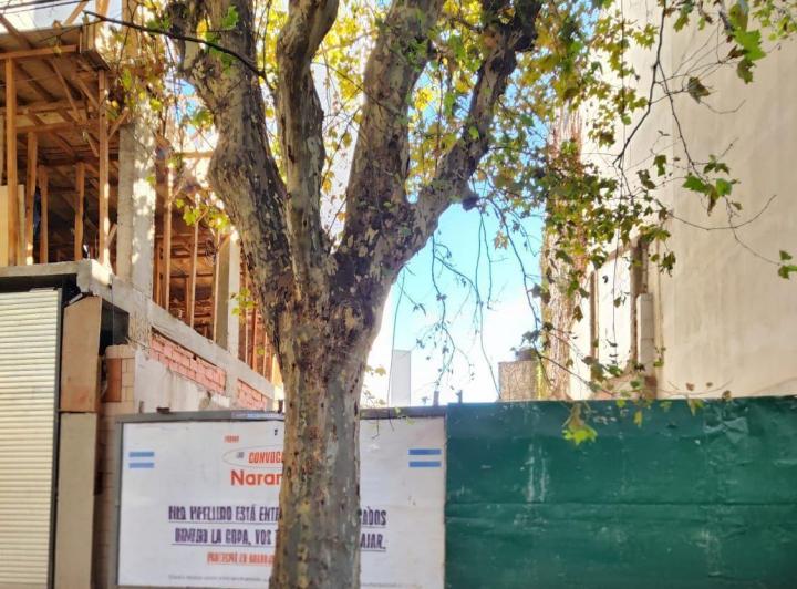 Terreno · 173m²