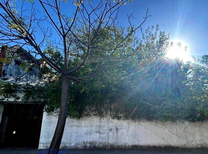 Terreno · 157m²