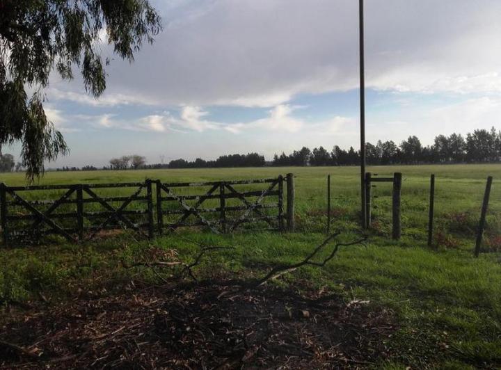 Terreno · 800000m² · 4 Ambientes