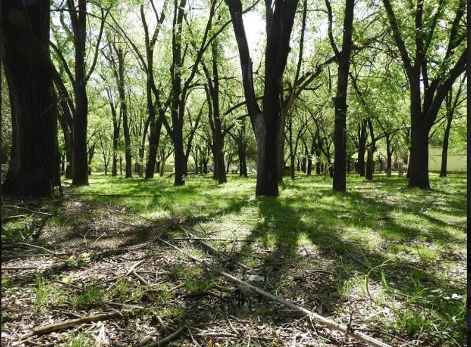 Terreno · 10m² · 5 Ambientes