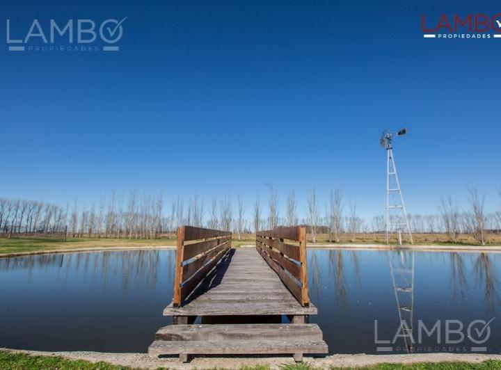 Terreno · 1ha · 7 Ambientes · 3 Cocheras