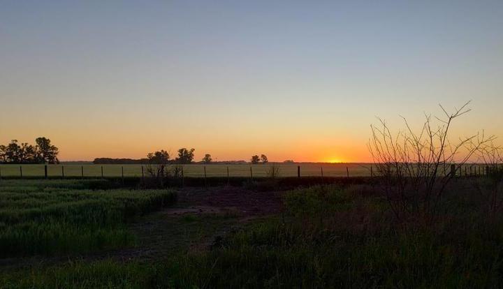 Terreno · 50ha · 7 Ambientes