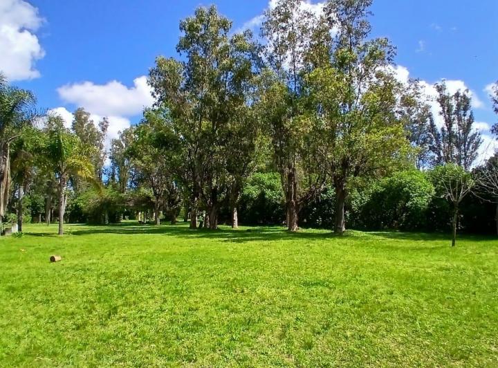 Terreno · 180m² · 4 Ambientes · 5 Cocheras