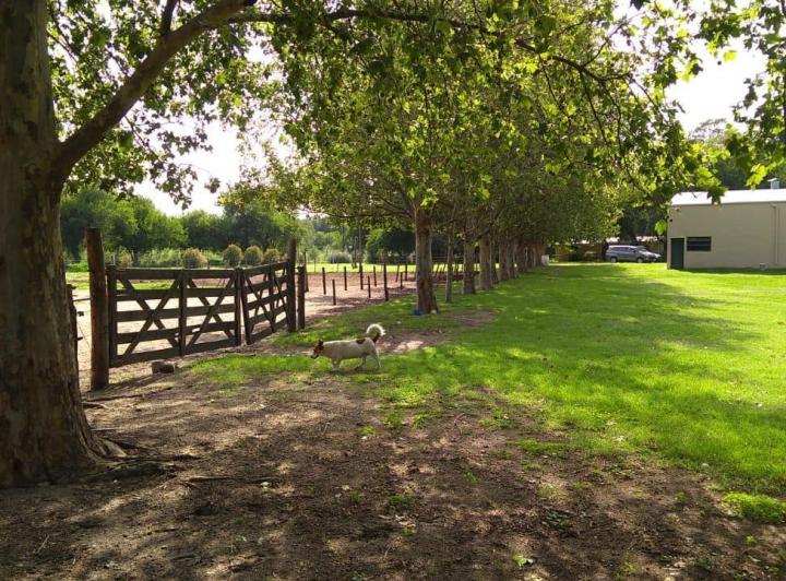Terreno · 346241m² · 12 Ambientes