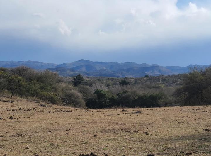 Terreno · 22ha · 12 Ambientes · 3 Cocheras